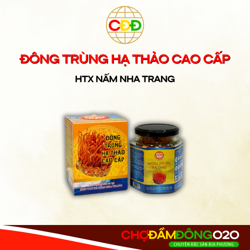 Đông Trùng Hạ Thảo Cao Cấp