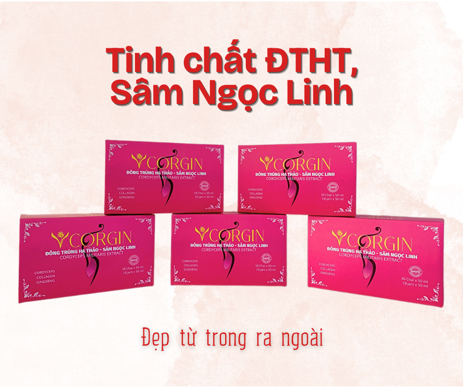 tmdt